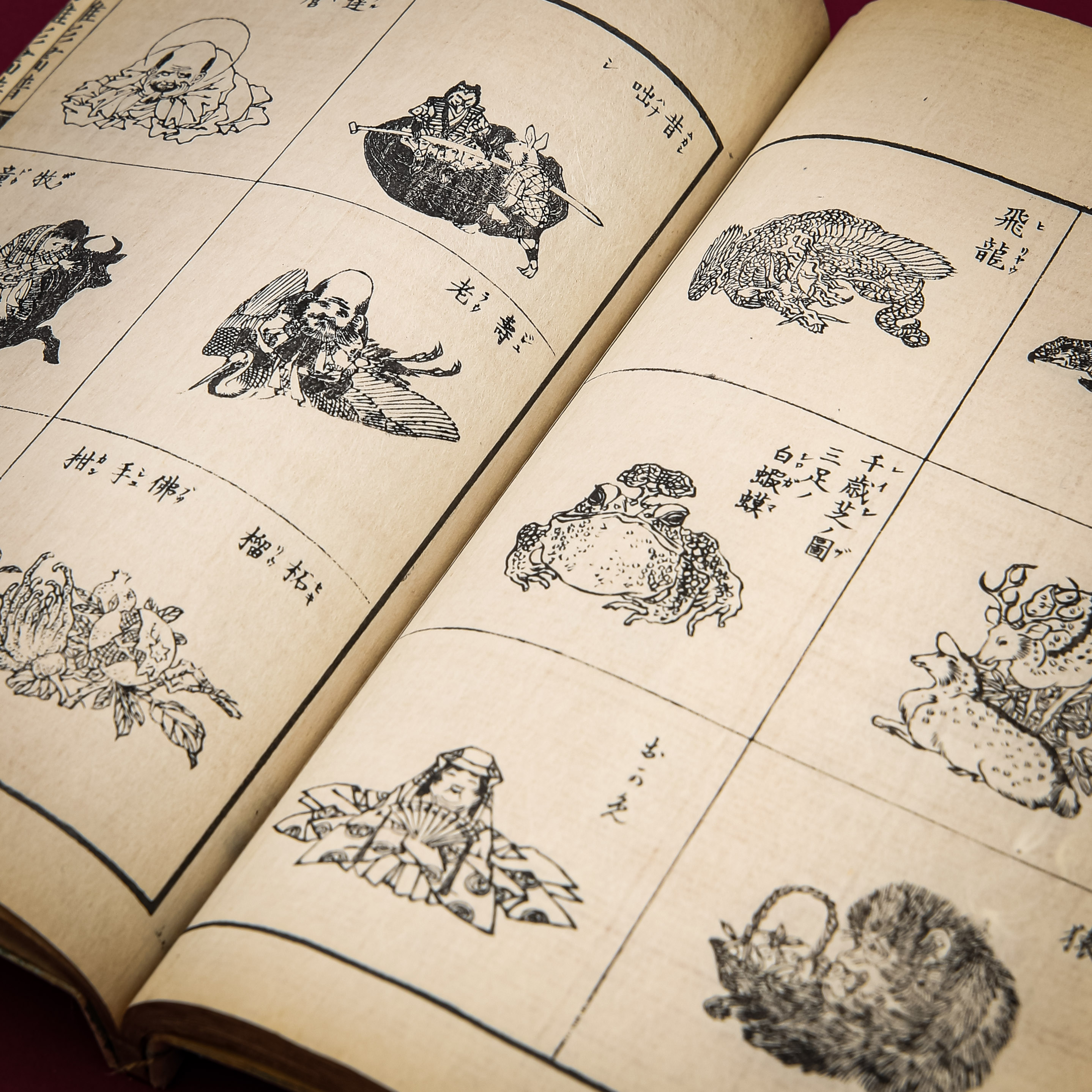 Illustrations Header Image (2)