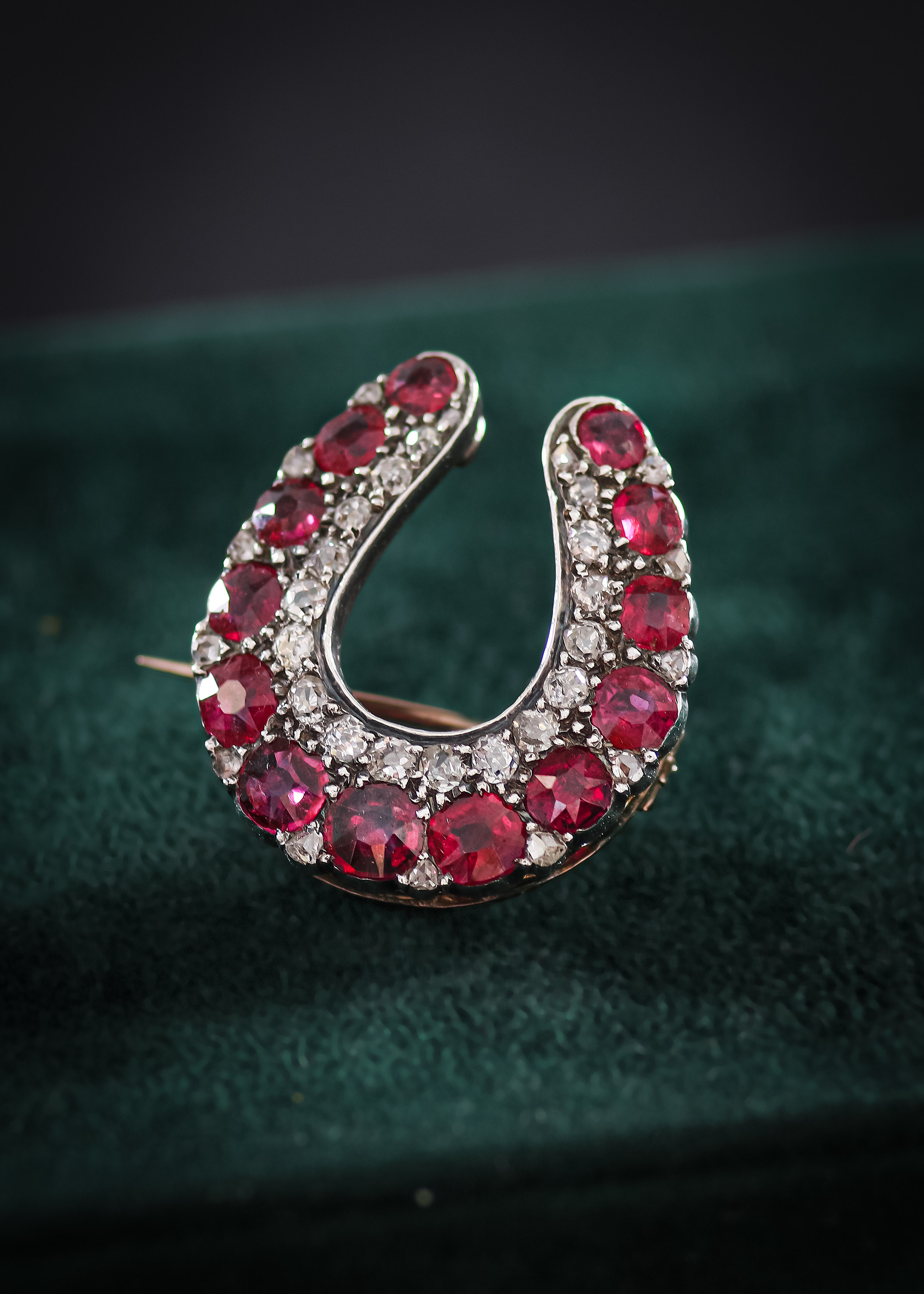 Horseshoe Brooch