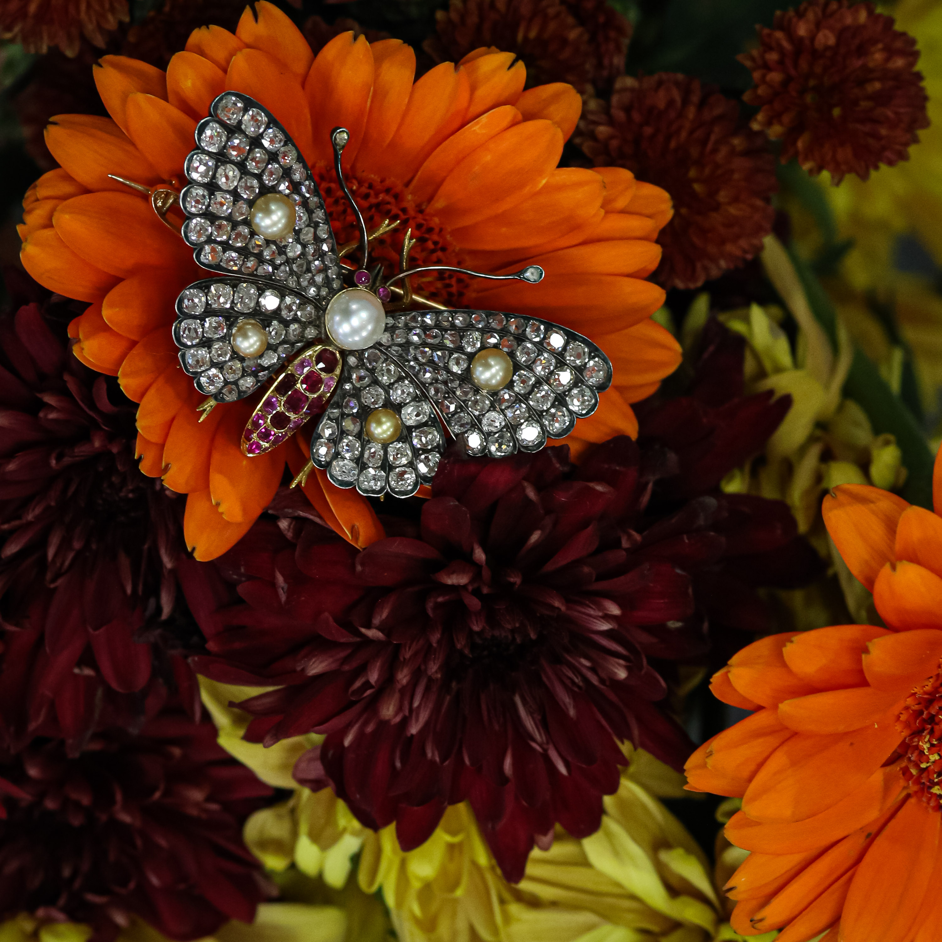 Jewellery Nov Results